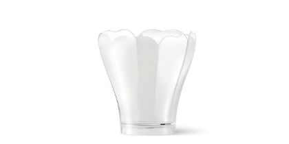 Obrázek COPPA LILY 160ml - 12x40ks (257/29C) TRANS