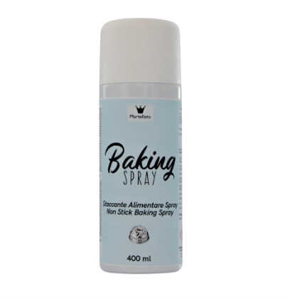 Obrázek COATING SPRAY 400ML