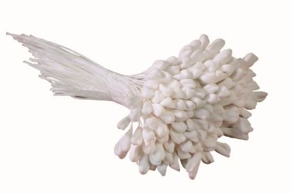 Obrázek Pestík 144ks (bílé, pro lilie)