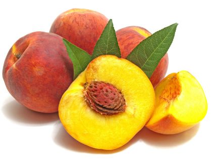 Obrázek PESCA 500 FAST (K) 10 x 1,25 kg (obj) 