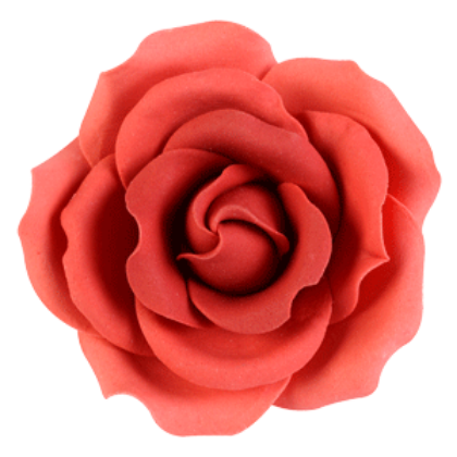 Obrázek ORANGE AUTUMN ROSES D5,5