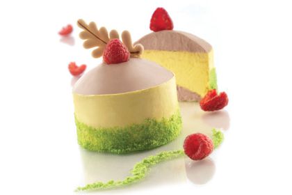 Obrázek SILIKONOVÁ FORMA - CUPOLE 55