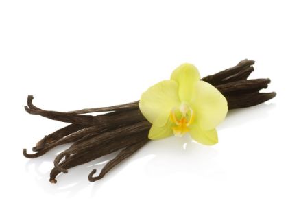 Obrázek MEC SOFT VANILKA PLUS PRO 6 x 2 kg 