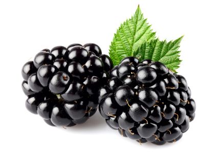 Obrázek MORA  2 x 3 kg