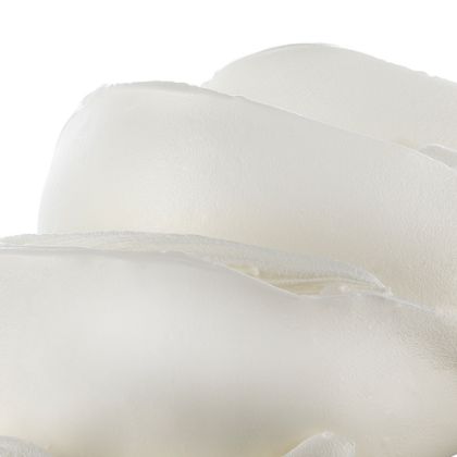 Obrázek CUORE DI PANNA 2 x 4,5 kg 