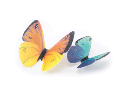 Obrázek SET WAFER BUTTERFLIES 14X18 (2 MOD)