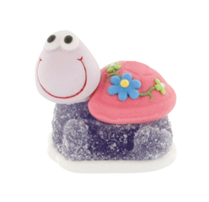 Obrázek SUGAR AND JELLY TURTLES (4MOD)