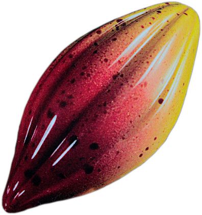 Obrázek FORMA NA BONBÓNY MA1018