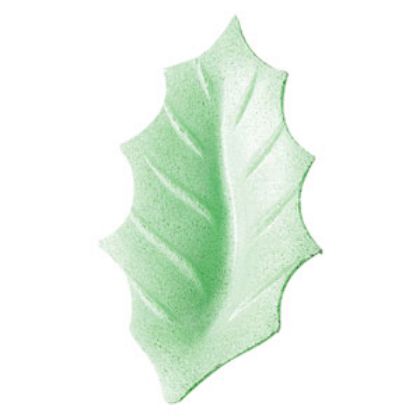 Obrázek WAFER HOLLY