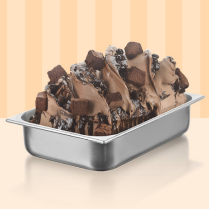 Obrázek VARIEGATO MECBROWNIE 2 x 5 kg (obj)