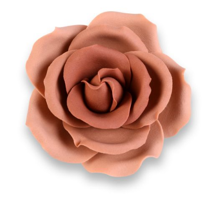 Obrázek BROWN AUTUMN ROSES D5,5