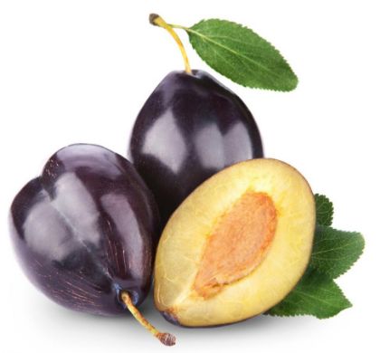 Obrázek PRUGNA  2 x 3 kg