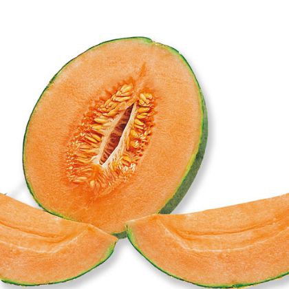 Obrázek MELONE 500 FAST 10 x 1,25 kg (obj)