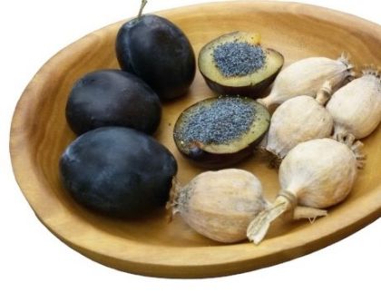 Obrázek MEC SOFT ŠVESTKA A MÁK PRO 6 x 2 kg