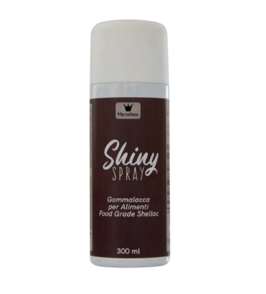 Obrázek SHINY SPRAY 300ML