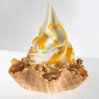 Obrázek YOGOMEC GRECO 10 x 1,05 kg