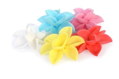 Obrázek DESERT ROSE ASS. WF (5COL) (100ks)