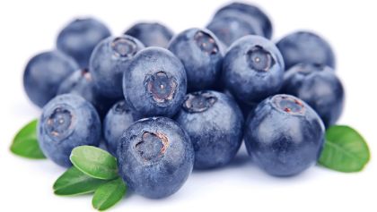 Obrázek MIRTILLO 500  (K) 10 x 1,25 kg