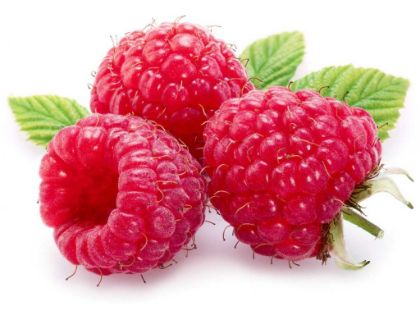 Obrázek MEC SORBET MALINA PRO 6 x 2 kg 