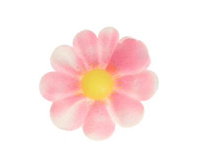 Obrázek WAFER COLOURED DAISY  (6 MOD)