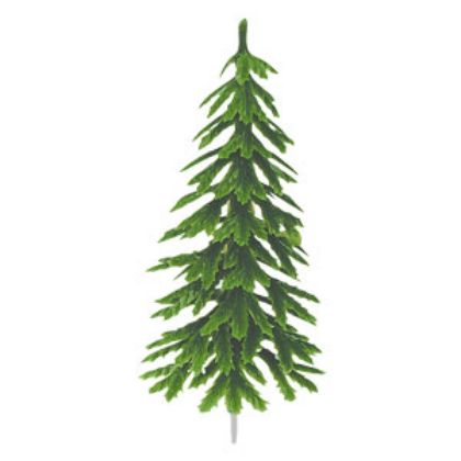 Obrázek PLASTIC PINES